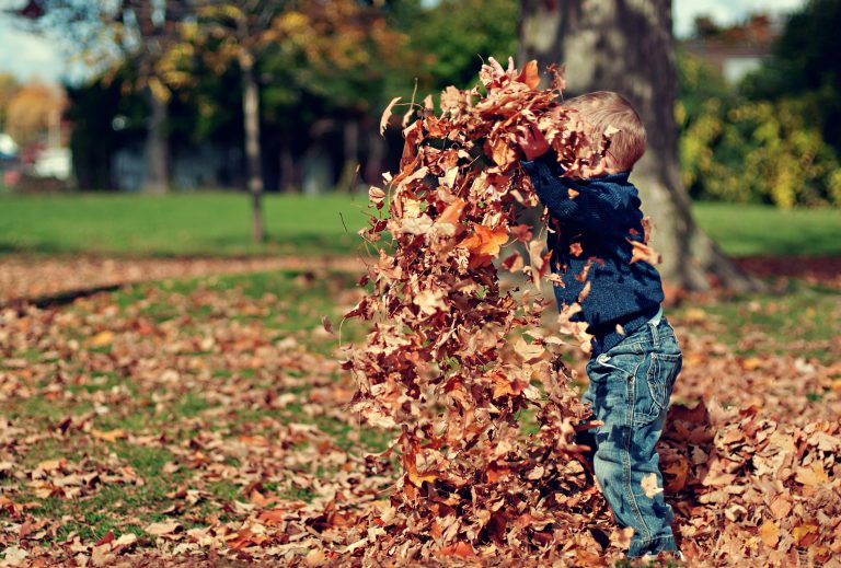 Ready For An Autumn Reset?